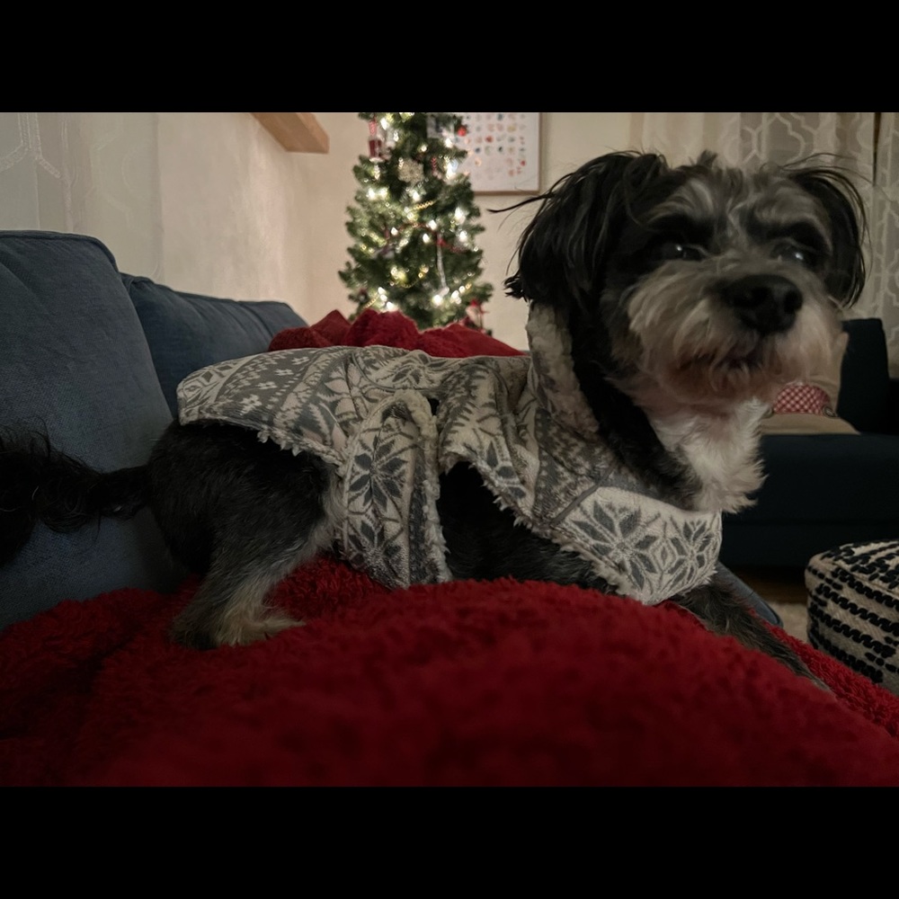 Meet your Posher, Rebecca